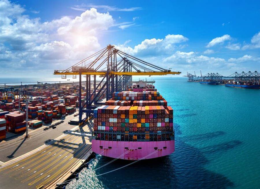 أهم أنواع الشحن البحري ودورها في التجارة العالمية في 2025