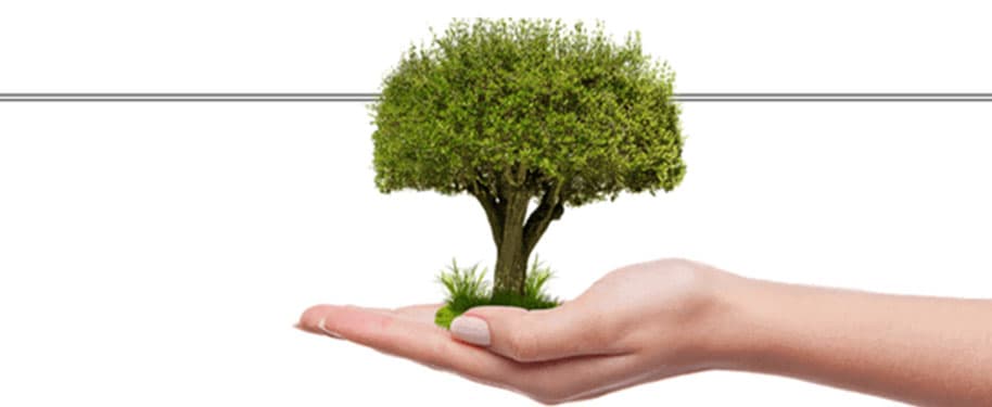 نموذج GROW للتدريب الناجح والفعال