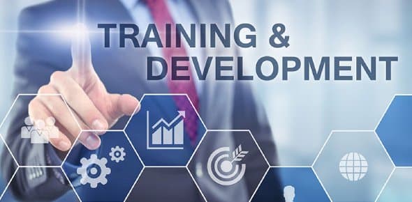 أهمية الدورات التدريبية للموارد البشرية في تحقيق التفوق التنافسي
