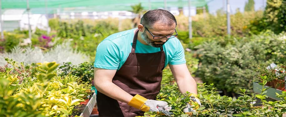 كيف تصبح خبيرًا في البستنة؟ احصل على تدريب متخصص في زراعة النباتات والعناية بها