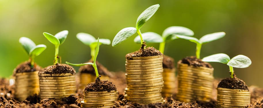 دليلك لإنشاء نموذج الأعمال المستدامة