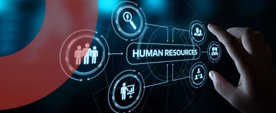 ما هي نماذج إدارة الموارد البشرية؟