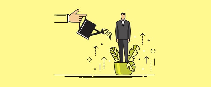 دور الإرشاد المهني في نجاح الشركات الناشئة