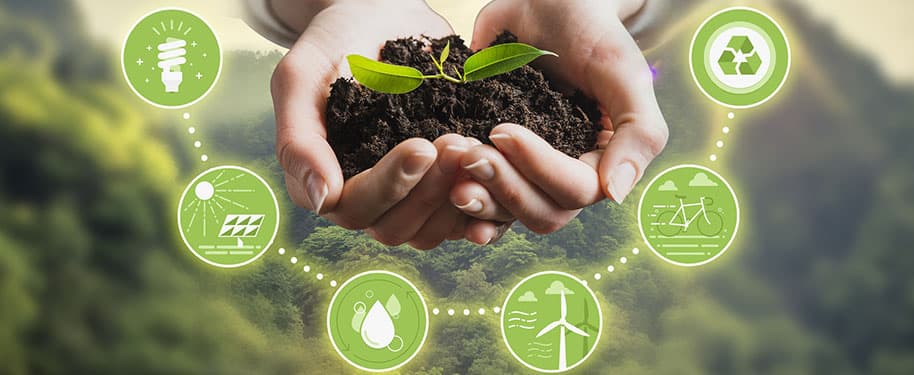 لماذا أصبحت الشركات تتجه لخلق بيئة عمل مستدامة؟