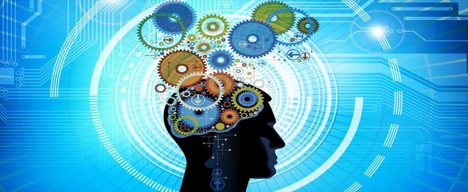 القيادة بالذكاء العاطفي: سر بناء الفرق القوية