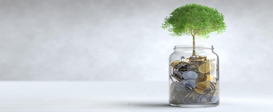 الاستدامة المالية في المؤسسات: هل هي خيار أم ضرورة؟