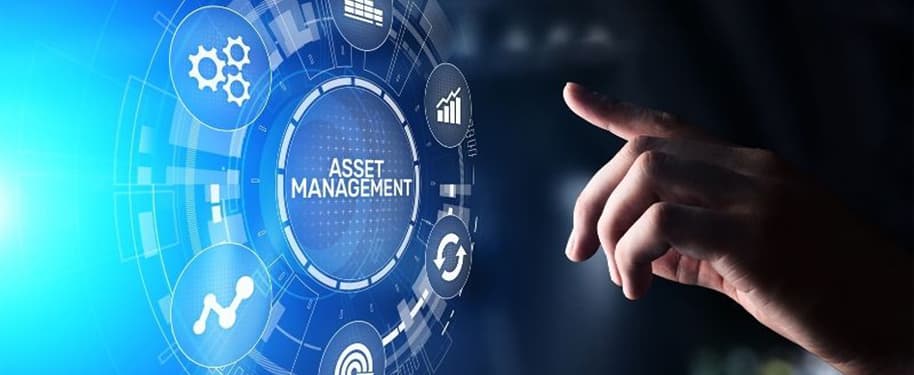 ماكسيمو لإدارة الأصول: الحل الأفضل لإدارة الأصول بكفاءة