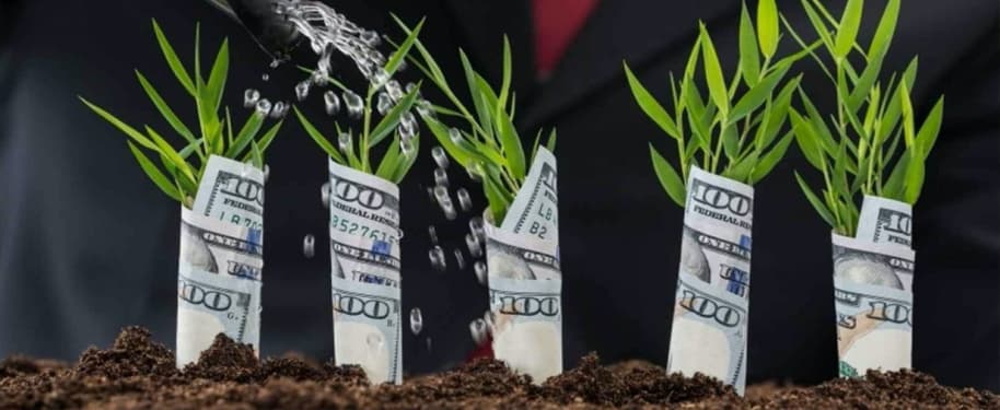 رأس المال الاستثماري: أهم الاتجاهات والتحديات في هذا المشهد العالمي