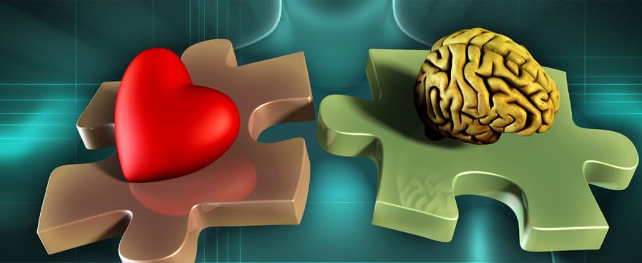 قوة الذكاء العاطفي في أماكن العمل: الاستراتيجيات الرئيسية للنجاح