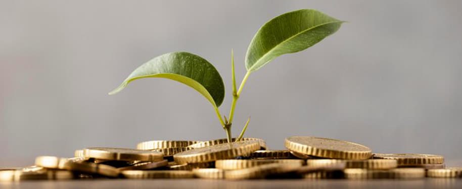 أساسيات التمويل الجماعي: ما يحتاج كل رائد أعمال إلى معرفته