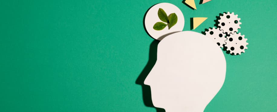 أخلاقيات القيادة: الاسترشاد بالنزاهة والقيم