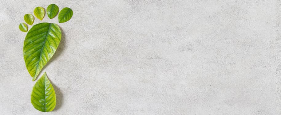 ما هي البصمة الكربونية؟ وكيف تؤثر على كوكبنا؟