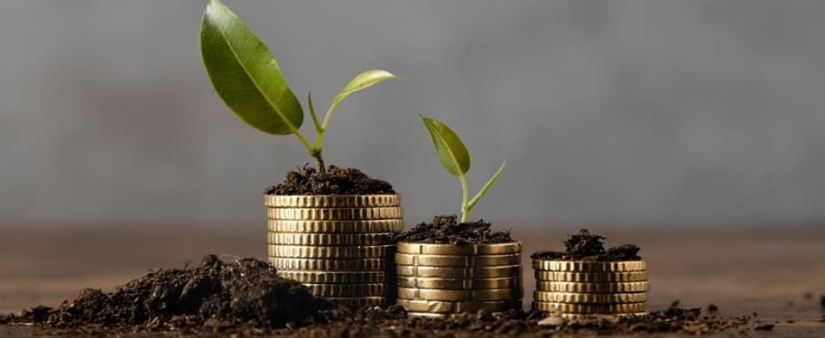 أفضل 5 إستراتيجيات للوصول إلى التمكين المالي في 2023